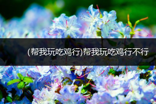 （帮我玩吃鸡行)帮我玩吃鸡行不行