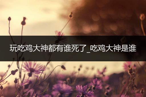 玩吃鸡大神都有谁死了_吃鸡大神是谁