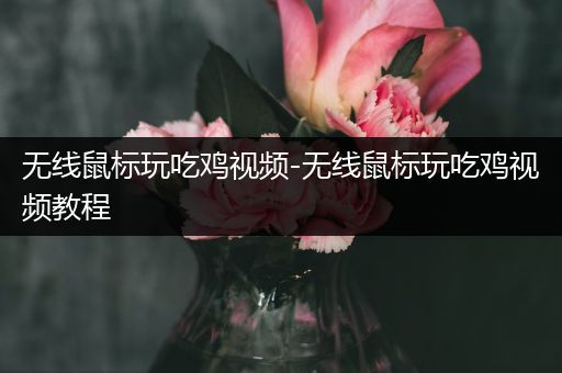 无线鼠标玩吃鸡视频-无线鼠标玩吃鸡视频教程