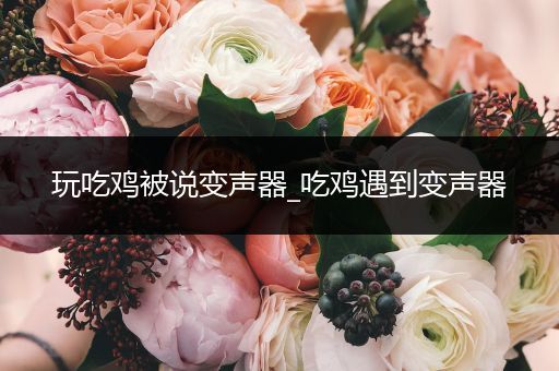 玩吃鸡被说变声器_吃鸡遇到变声器