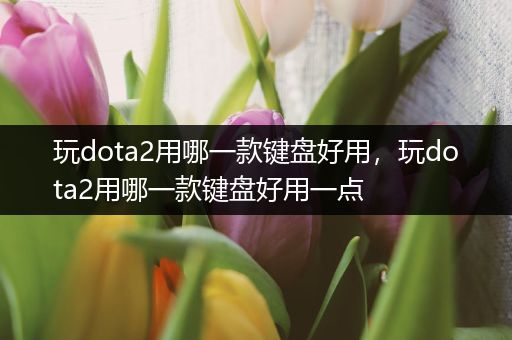 玩dota2用哪一款键盘好用，玩dota2用哪一款键盘好用一点
