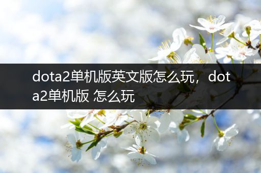 dota2单机版英文版怎么玩，dota2单机版 怎么玩