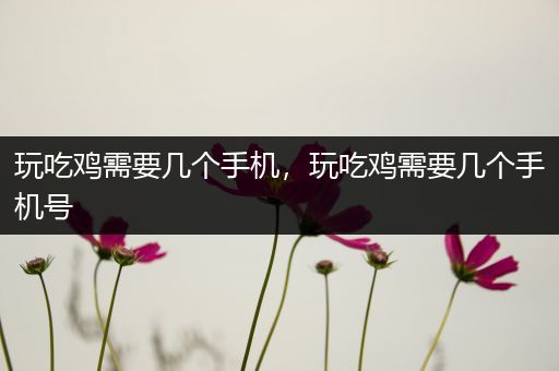 玩吃鸡需要几个手机，玩吃鸡需要几个手机号