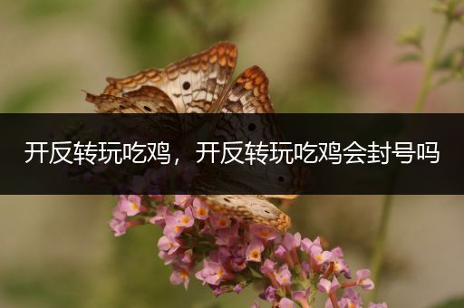开反转玩吃鸡，开反转玩吃鸡会封号吗