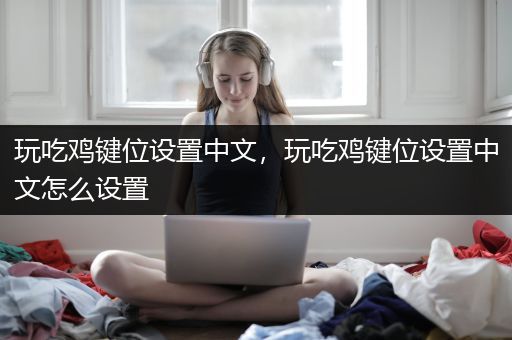 玩吃鸡键位设置中文，玩吃鸡键位设置中文怎么设置
