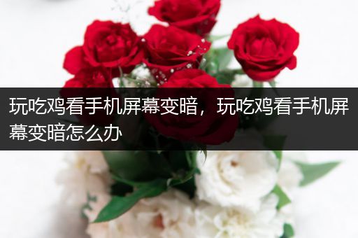 玩吃鸡看手机屏幕变暗，玩吃鸡看手机屏幕变暗怎么办