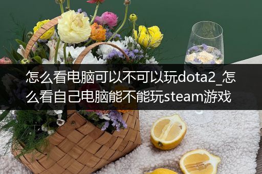 怎么看电脑可以不可以玩dota2_怎么看自己电脑能不能玩steam游戏