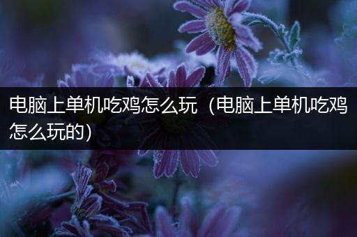 电脑上单机吃鸡怎么玩（电脑上单机吃鸡怎么玩的）