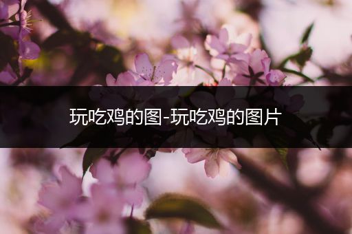 玩吃鸡的图-玩吃鸡的图片