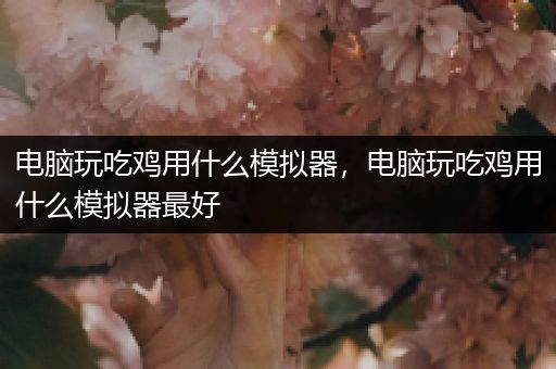 电脑玩吃鸡用什么模拟器，电脑玩吃鸡用什么模拟器最好