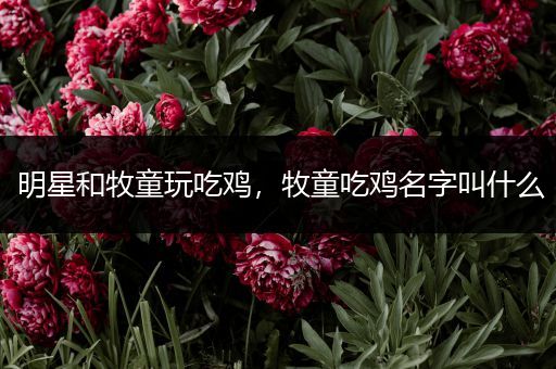 明星和牧童玩吃鸡，牧童吃鸡名字叫什么