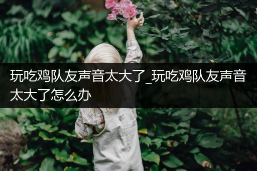 玩吃鸡队友声音太大了_玩吃鸡队友声音太大了怎么办