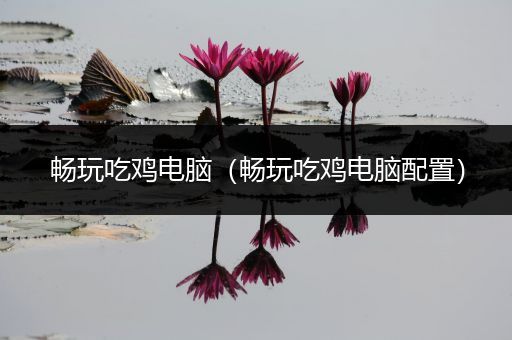 畅玩吃鸡电脑（畅玩吃鸡电脑配置）