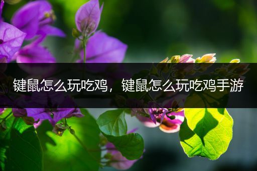 键鼠怎么玩吃鸡，键鼠怎么玩吃鸡手游