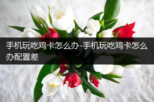 手机玩吃鸡卡怎么办-手机玩吃鸡卡怎么办配置差