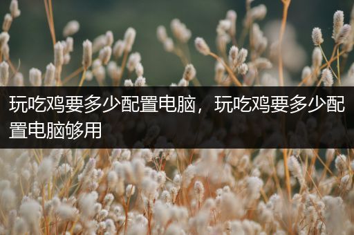 玩吃鸡要多少配置电脑，玩吃鸡要多少配置电脑够用