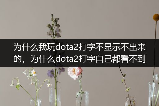 为什么我玩dota2打字不显示不出来的，为什么dota2打字自己都看不到
