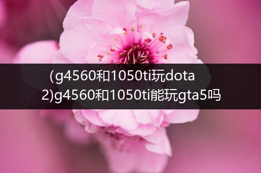 （g4560和1050ti玩dota2)g4560和1050ti能玩gta5吗