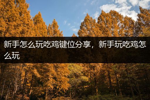 新手怎么玩吃鸡键位分享，新手玩吃鸡怎么玩