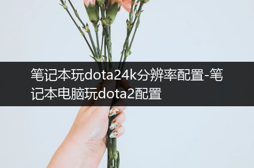 笔记本玩dota24k分辨率配置-笔记本电脑玩dota2配置