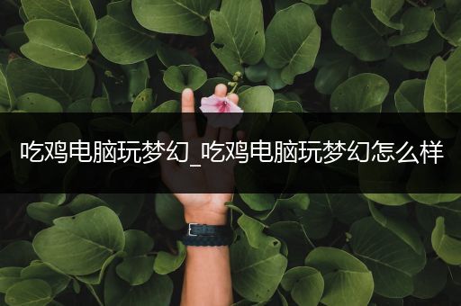 吃鸡电脑玩梦幻_吃鸡电脑玩梦幻怎么样