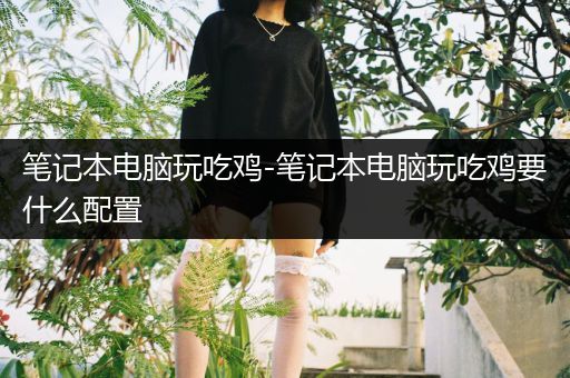 笔记本电脑玩吃鸡-笔记本电脑玩吃鸡要什么配置