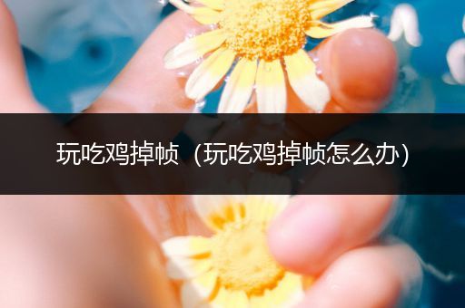 玩吃鸡掉帧（玩吃鸡掉帧怎么办）