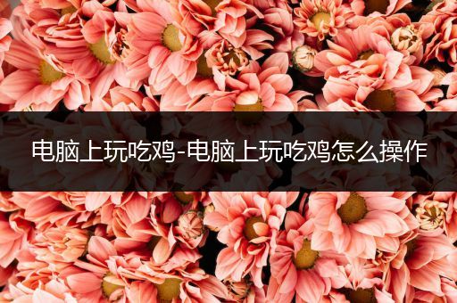 电脑上玩吃鸡-电脑上玩吃鸡怎么操作