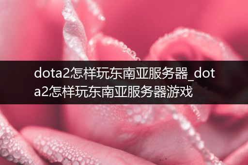 dota2怎样玩东南亚服务器_dota2怎样玩东南亚服务器游戏