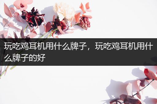 玩吃鸡耳机用什么牌子，玩吃鸡耳机用什么牌子的好