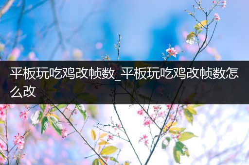 平板玩吃鸡改帧数_平板玩吃鸡改帧数怎么改