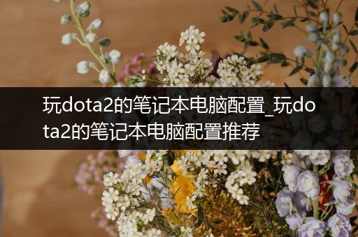 玩dota2的笔记本电脑配置_玩dota2的笔记本电脑配置推荐