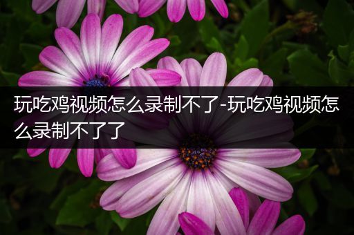 玩吃鸡视频怎么录制不了-玩吃鸡视频怎么录制不了了