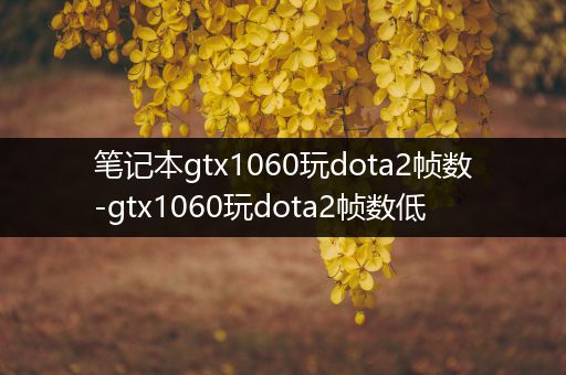 笔记本gtx1060玩dota2帧数-gtx1060玩dota2帧数低