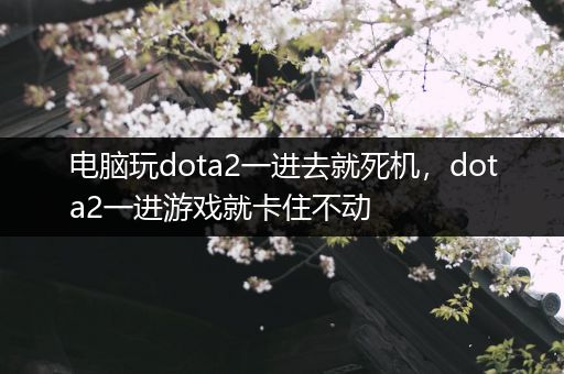 电脑玩dota2一进去就死机，dota2一进游戏就卡住不动