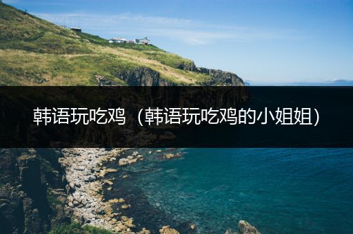 韩语玩吃鸡（韩语玩吃鸡的小姐姐）
