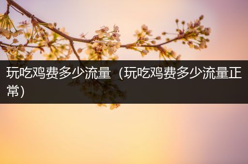 玩吃鸡费多少流量（玩吃鸡费多少流量正常）