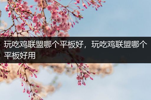 玩吃鸡联盟哪个平板好，玩吃鸡联盟哪个平板好用