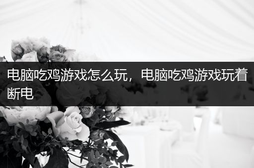 电脑吃鸡游戏怎么玩，电脑吃鸡游戏玩着断电