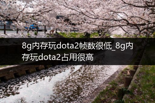 8g内存玩dota2帧数很低_8g内存玩dota2占用很高