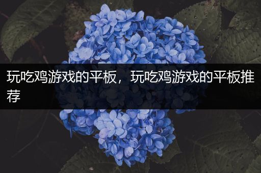 玩吃鸡游戏的平板，玩吃鸡游戏的平板推荐