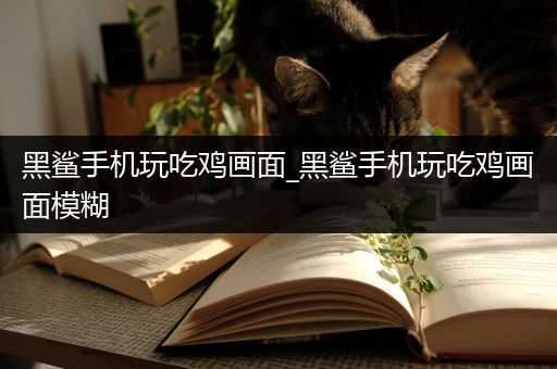 黑鲨手机玩吃鸡画面_黑鲨手机玩吃鸡画面模糊