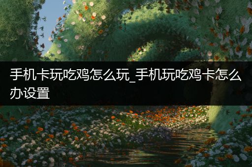 手机卡玩吃鸡怎么玩_手机玩吃鸡卡怎么办设置