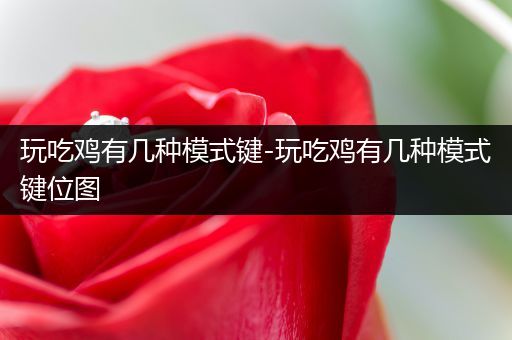 玩吃鸡有几种模式键-玩吃鸡有几种模式键位图