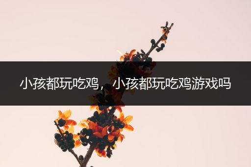 小孩都玩吃鸡，小孩都玩吃鸡游戏吗