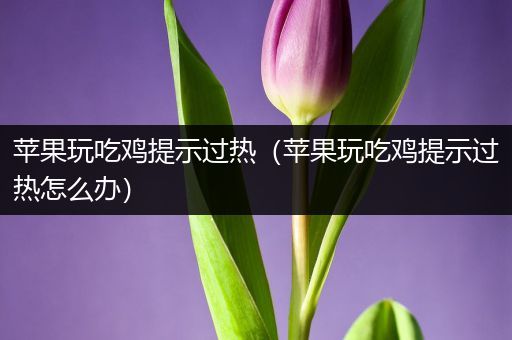 苹果玩吃鸡提示过热（苹果玩吃鸡提示过热怎么办）