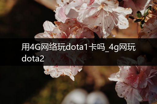 用4G网络玩dota1卡吗_4g网玩dota2