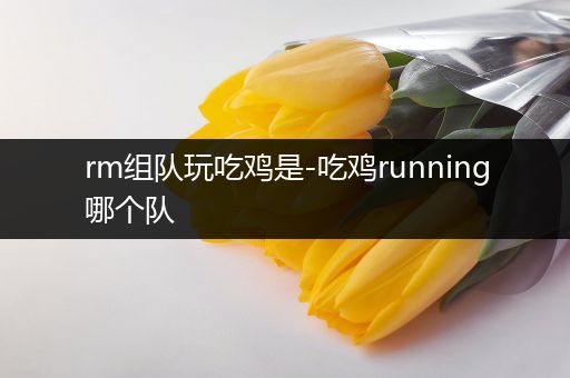 rm组队玩吃鸡是-吃鸡running哪个队