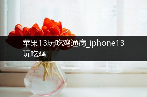 苹果13玩吃鸡通病_iphone13玩吃鸡