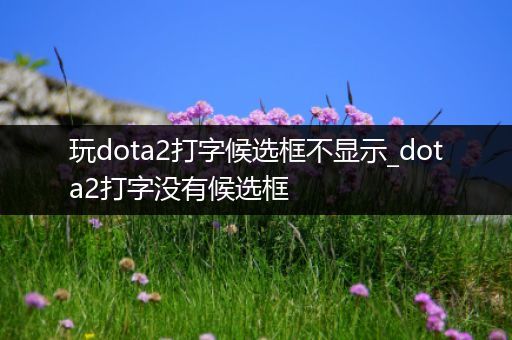 玩dota2打字候选框不显示_dota2打字没有候选框